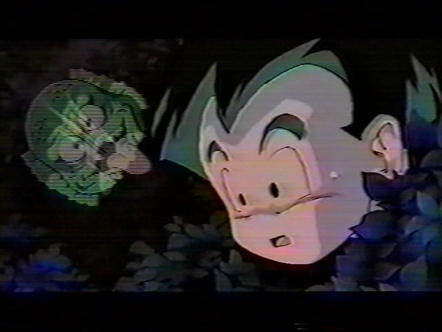 Dragonball Z Movie 13 (13).jpg